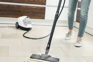 Немає часу на прибирання? Довіртеся пароочиснику SC 4 EasyFix та насолоджуйтеся бездоганною чистотою 🪄 фото
