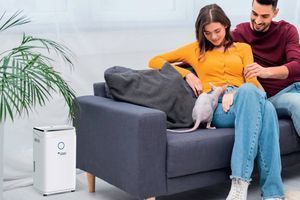 Осушувачі повітря Mycond: ефективні помічники для контролю вологості. фото