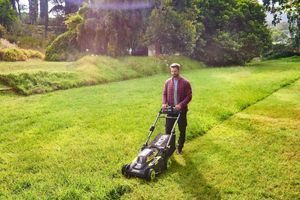 Весняне перевтілення газону: секрети догляду з RYOBI. фото