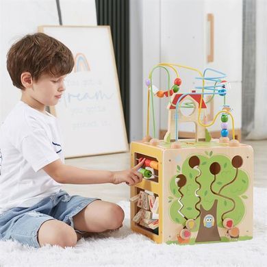 Бізікуб дерев'яний Viga Toys 5 в 1 (44591) dt_14339 фото