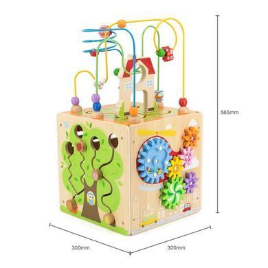 Бізікуб дерев'яний Viga Toys 5 в 1 (44591) dt_14339 фото