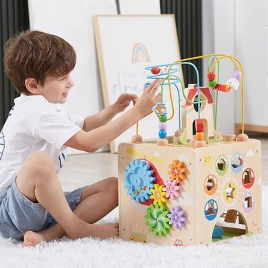 Бізікуб дерев'яний Viga Toys 5 в 1 (44591) dt_14339 фото
