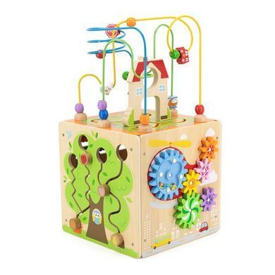 Бізікуб дерев'яний Viga Toys 5 в 1 (44591) dt_14339 фото