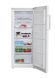 Beko Морозильная камера RFNE270K21W RFNE270K21W