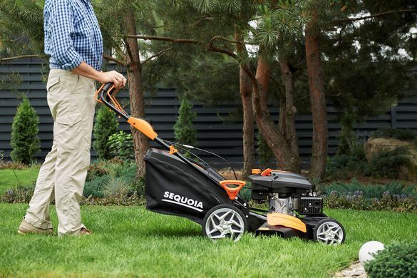 Газонокосарка бензинова SEQUOIA SPLM4600 SPLM4600 фото