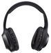 Навушники Panasonic RB-HX220BEE-K (6612084) RB-HX220BEEK