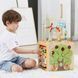 Бізікуб дерев'яний Viga Toys 5 в 1 (44591) dt_14339