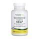 Kelp - 300 tabs Nature's Plus