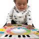 Музыкальный столик Baby Einstein Magic Touch Юный композитор (800892) dt_84559