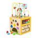 Бізікуб дерев'яний Viga Toys 5 в 1 (44591) dt_14339