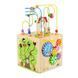 Бізікуб дерев'яний Viga Toys 5 в 1 (44591) dt_14339