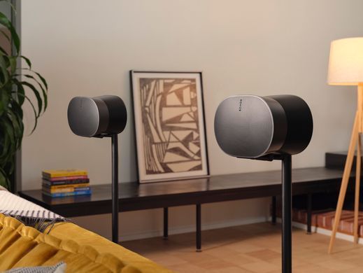 Акустическая система Sonos Era 300 Black (363407) E30G1EU1BLK фото