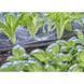 Микронасадка Gardena Micro-Drip-System секторная 180&deg; 5 шт 13321-20.000.00