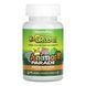 Animal Parade KidGreenz &ndash; 90 tabs Tropical Fruit Nature's Plus