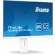 23,8 "16: 9 IPS RC Monitor, 1920x1080, 1 мс (MPRT), 100 Гц, адаптивная синхронизация, 1xhdmi 1,4/1xdp 1,2/2XUSB IIYAMA Xub2497HSU-W2 3728844