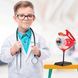 Модель глазного яблока Edu-Toys сборная 14 см (SK007) dt_2561
