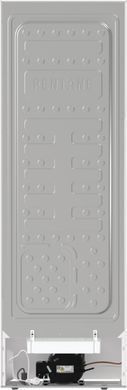 Gorenje Холодильна камера R619EEW5 (356328) R619EEW5 фото