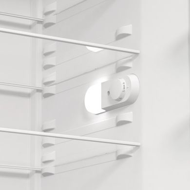 Gorenje Холодильна камера R619EEW5 (356328) R619EEW5 фото