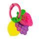 Прорезыватель Lamaze Фрукты в ассор. (L23025) dt_14169