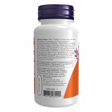 7 кето (7-KETO DHEA) 100 мг 60 капсул