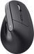 Trust Мышь Bayo 2 Ergonomic, WL/USB-A, черный 25145_TRUST