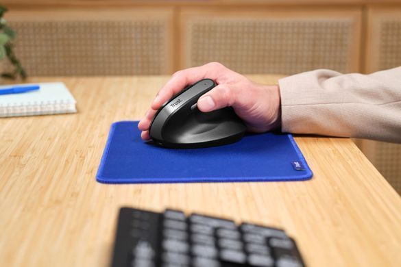 Trust Мышь Bayo 2 Ergonomic, WL/USB-A, черный 25145_TRUST фото