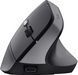 Trust Мышь Bayo 2 Ergonomic, WL/USB-A, черный 25145_TRUST