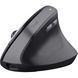 Trust Мышь Bayo 2 Ergonomic, WL/USB-A, черный 25145_TRUST