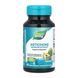 Artichoke Supports Digestion - 60 vcaps Nature's Way