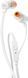 Навушники JBL T110 White (6327624) JBLT110WHT