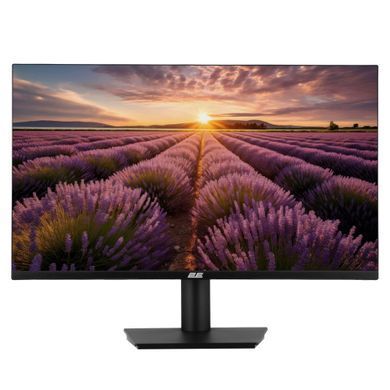 2E Монитор 23.8" B2424B D-Sub, HDMI, VA, 100Hz, FreeSync 2E-B2424B-01.UA фото