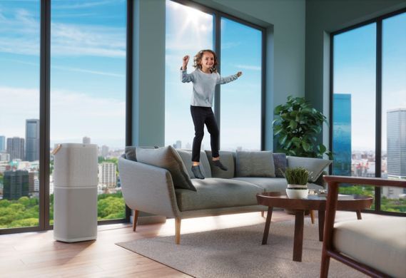 Electrolux Очисник повітря, 92м2, 442м3/год, дисплей, 5-и шаровий HEPA фільтр, Wi-Fi, 9 режимів, сірий (379187) PA91-404GY фото