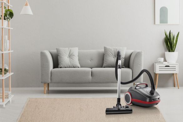 Пилосос Gorenje мішковий, 700Вт, 3л, HEPA, щітка Xpand Zone, turbo brush, телескоп, чорний графіт (387756) VCEA24GPRA фото
