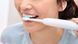 Насадки для звукової зубної щітки Philips Sonicare HX6012/87 ProResults (388388)