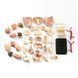 Модель черепа з нервами Edu-Toys збірна 9 см (SK010) dt_2565