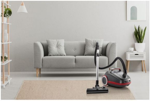 Пылесос GORENJE VCEA24GPRA 738241 фото