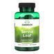 Senna Leaf 500mg - 100 сaps