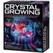 Набір для вирощування кристалів 4M із підсвіткою (00-03920/US) dt_9398