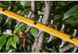 Кущоріз акумуляторний безщітковий DeWALT DCMHT573N DCMHT573N
