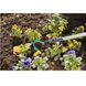 Combisystem Cultivator 3,6 см 03132-20.000.00