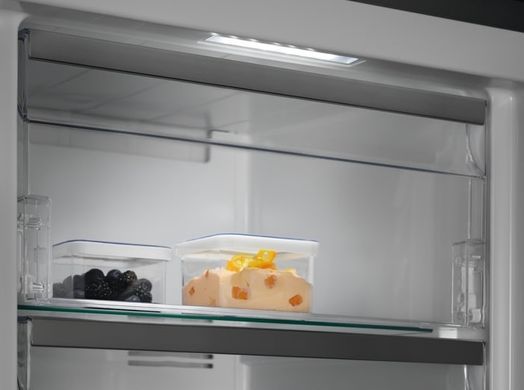 Electrolux Морозильная камера Electrolux RUT7ME28X2 RUT7ME28X2 фото