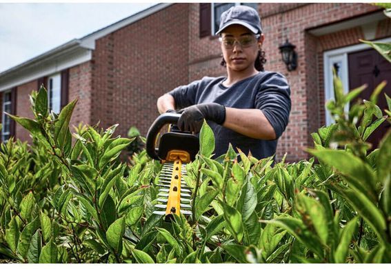 Кущоріз акумуляторний безщітковий DeWALT DCMHT573X1 DCMHT573X1 фото