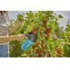 Плодозйомник для ягід Gardena Combisystem BerryPicker 17400-20.000.00