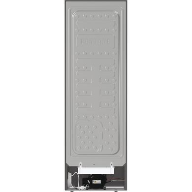 Gorenje Морозильная камера FN619FES5 FN619FES5 фото
