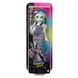 Лялька Monster High Моя монстро-подружка Френкі Штайн (HRC12-HKY76) dt_95720