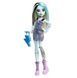 Лялька Monster High Моя монстро-подружка Френкі Штайн (HRC12-HKY76) dt_95720