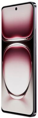 Смартфон OPPO Reno12 12/256GB (black brown) CPH2625 фото