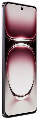 Смартфон OPPO Reno12 12/256GB (black brown) CPH2625 фото