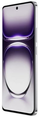 Смартфон OPPO Reno12 12/256GB (black brown) CPH2625 фото
