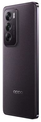 Смартфон OPPO Reno12 12/256GB (black brown) CPH2625 фото